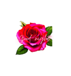 薔薇お花スタンプ（個別スタンプ：8）