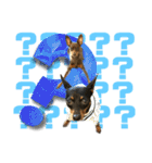 名犬サクちゃん 12（個別スタンプ：14）