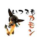 名犬サクちゃん 12（個別スタンプ：25）