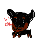 名犬サクちゃん 12（個別スタンプ：31）