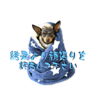 名犬サクちゃん 12（個別スタンプ：38）