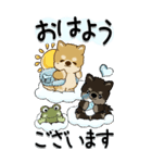 【Big】柴犬・ちゃちゃ丸たち 53『雨嫌い』（個別スタンプ：1）