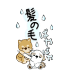 【Big】柴犬・ちゃちゃ丸たち 53『雨嫌い』（個別スタンプ：3）