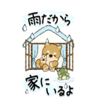 【Big】柴犬・ちゃちゃ丸たち 53『雨嫌い』（個別スタンプ：6）
