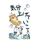 【Big】柴犬・ちゃちゃ丸たち 53『雨嫌い』（個別スタンプ：9）