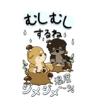 【Big】柴犬・ちゃちゃ丸たち 53『雨嫌い』（個別スタンプ：16）