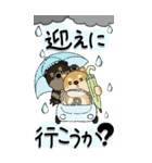 【Big】柴犬・ちゃちゃ丸たち 53『雨嫌い』（個別スタンプ：21）