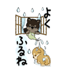 【Big】柴犬・ちゃちゃ丸たち 53『雨嫌い』（個別スタンプ：22）