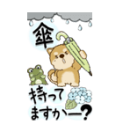 【Big】柴犬・ちゃちゃ丸たち 53『雨嫌い』（個別スタンプ：25）