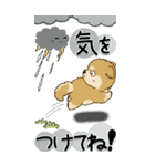 【Big】柴犬・ちゃちゃ丸たち 53『雨嫌い』（個別スタンプ：26）
