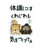【Big】柴犬・ちゃちゃ丸たち 53『雨嫌い』（個別スタンプ：32）
