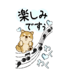 【Big】柴犬・ちゃちゃ丸たち 53『雨嫌い』（個別スタンプ：35）