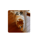 きぬ #2（個別スタンプ：3）