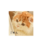 きぬ #2（個別スタンプ：7）