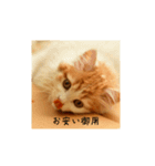 きぬ #2（個別スタンプ：9）