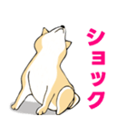 かわいい柴犬の年中使えるスタンプ2修正版（個別スタンプ：20）