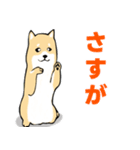 かわいい柴犬の年中使えるスタンプ2修正版（個別スタンプ：24）