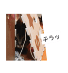 もか日常 ⑬（個別スタンプ：9）