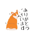 犬いっぱいスタンプ！（個別スタンプ：3）