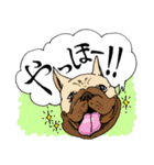 犬大集合！毎日使えるスタンプ（個別スタンプ：2）