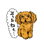 犬大集合！毎日使えるスタンプ（個別スタンプ：22）