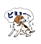 犬大集合！毎日使えるスタンプ（個別スタンプ：29）