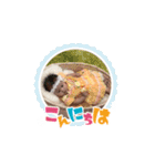葉南（個別スタンプ：10）