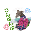 イタグレ瑠璃の日常茶飯事スタンプ（個別スタンプ：8）