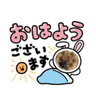 ポメラニアンfamily U・x・U（個別スタンプ：1）