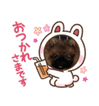 ポメラニアンfamily U・x・U（個別スタンプ：4）