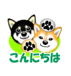 柴犬まろあんちゃんスタンプです。（個別スタンプ：2）