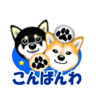 柴犬まろあんちゃんスタンプです。（個別スタンプ：3）