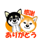 柴犬まろあんちゃんスタンプです。（個別スタンプ：4）