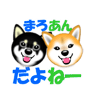 柴犬まろあんちゃんスタンプです。（個別スタンプ：8）