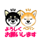 柴犬まろあんちゃんスタンプです。（個別スタンプ：11）