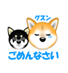 柴犬まろあんちゃんスタンプです。（個別スタンプ：12）