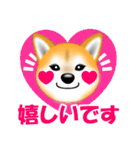 柴犬まろあんちゃんスタンプです。（個別スタンプ：13）