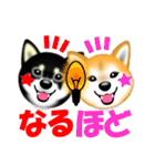 柴犬まろあんちゃんスタンプです。（個別スタンプ：15）