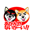 柴犬まろあんちゃんスタンプです。（個別スタンプ：16）