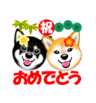 柴犬まろあんちゃんスタンプです。（個別スタンプ：19）