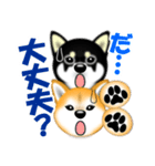 柴犬まろあんちゃんスタンプです。（個別スタンプ：21）