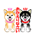 柴犬まろあんちゃんスタンプです。（個別スタンプ：28）