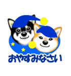 柴犬まろあんちゃんスタンプです。（個別スタンプ：31）