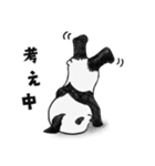 ワンダフルポンちゃん【パンダ】（個別スタンプ：11）