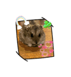くろ＆しろのスタンプ（個別スタンプ：13）