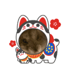 くろ＆しろのスタンプ（個別スタンプ：17）