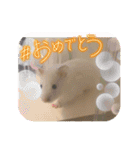 くろ＆しろのスタンプ（個別スタンプ：27）