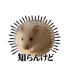 くろ＆しろのスタンプ（個別スタンプ：31）