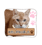 AmamiMana(あまーみー)LINEスタンプ（個別スタンプ：2）