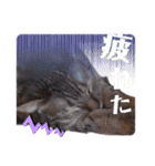 AmamiMana(あまーみー)LINEスタンプ（個別スタンプ：5）
